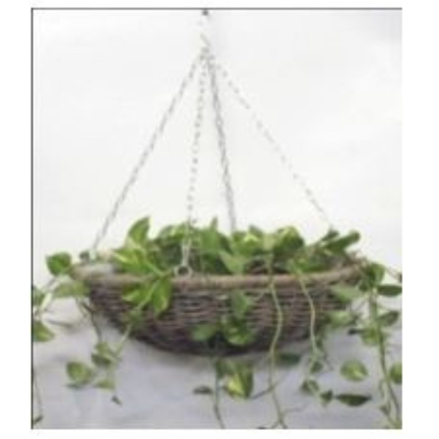 HANGPOT 40 JAWIT GREY Ø.40 H.20 INCL CHAIN AND PLASTIC LINING