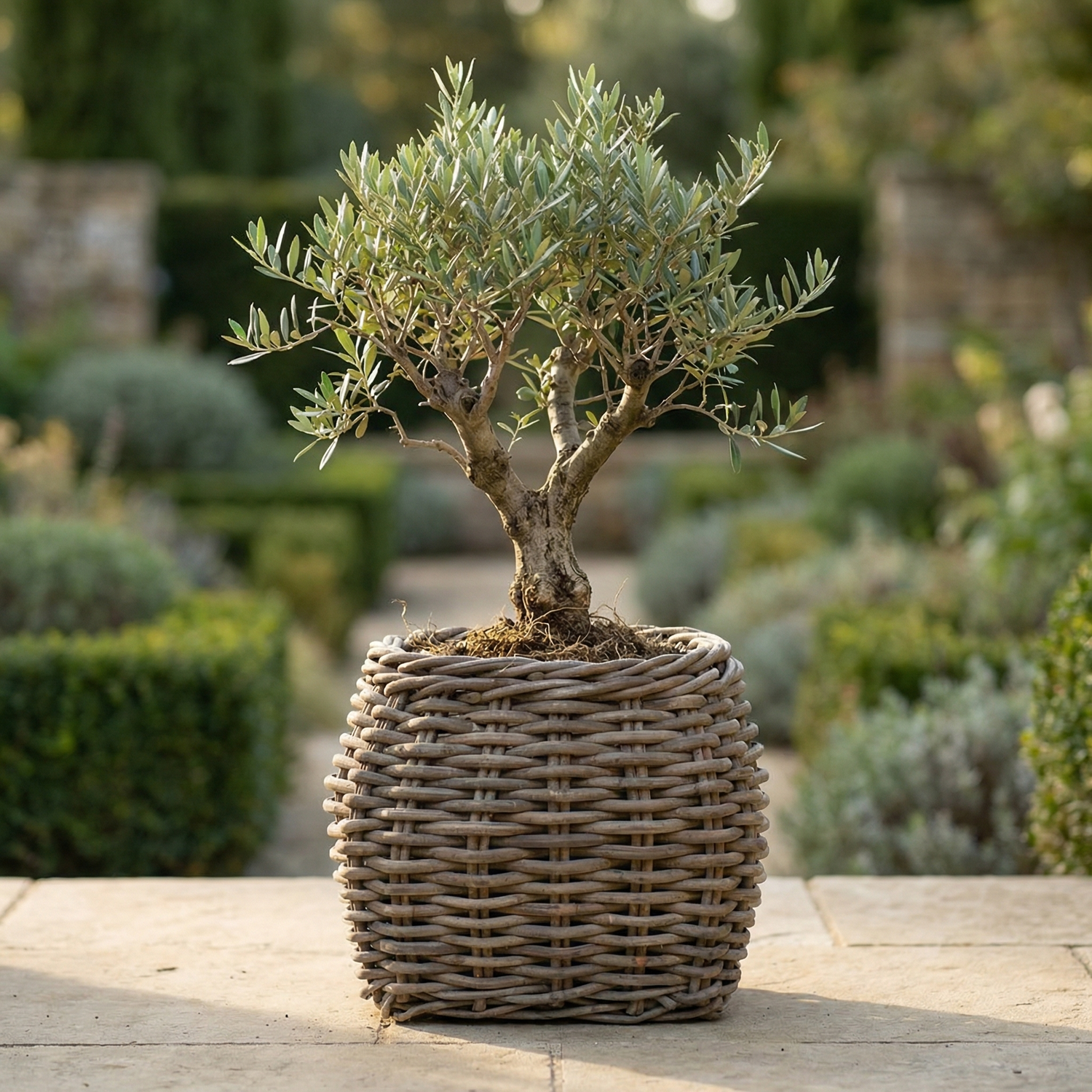 Planten & Bloemen