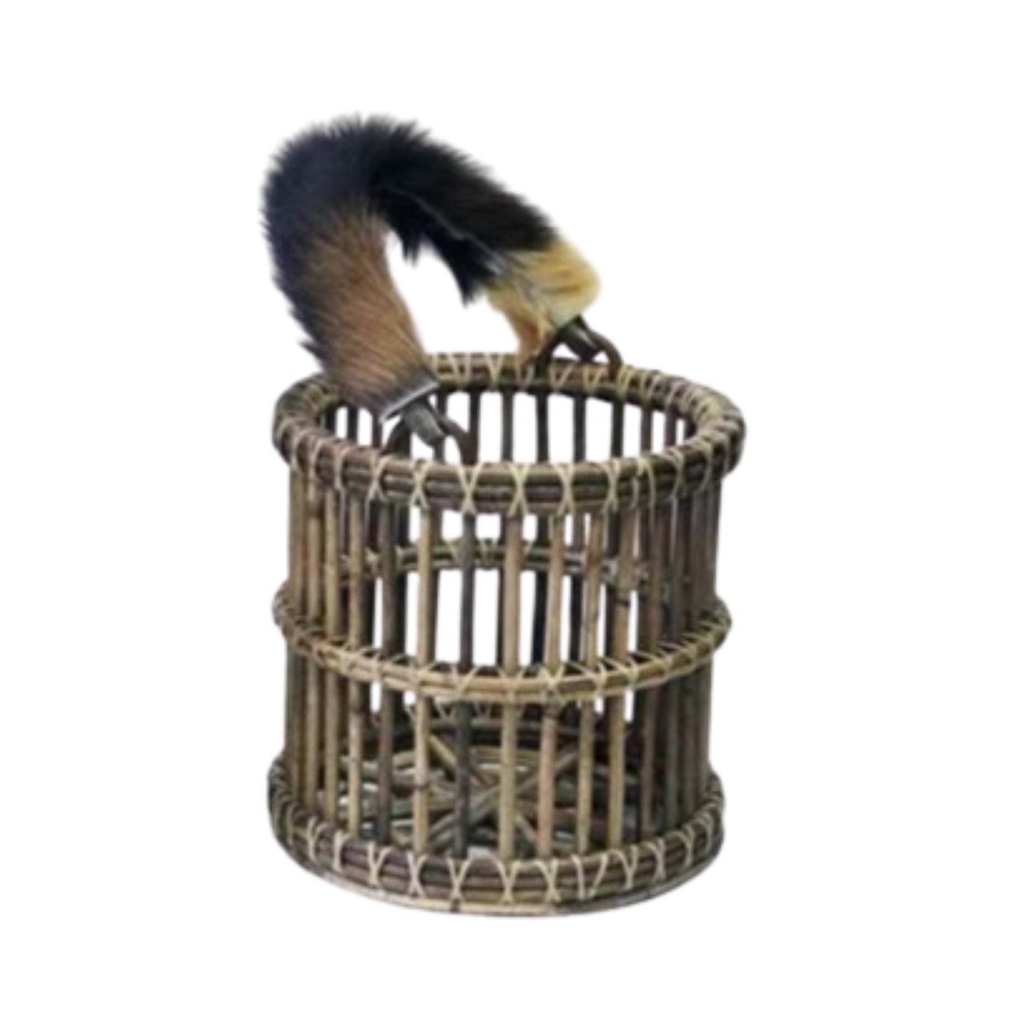 HURRICANE MEDIUM KOBOO GREY w/HANDLE GOAT FUR INCL. GLASS